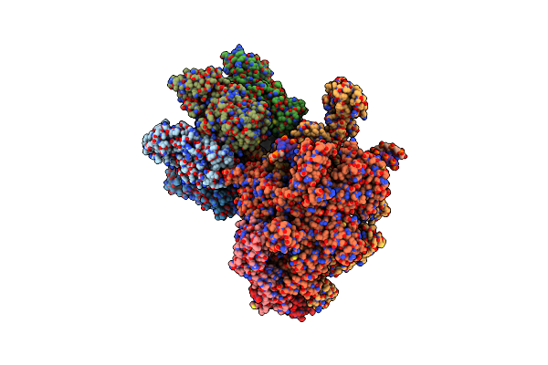 8HSR image