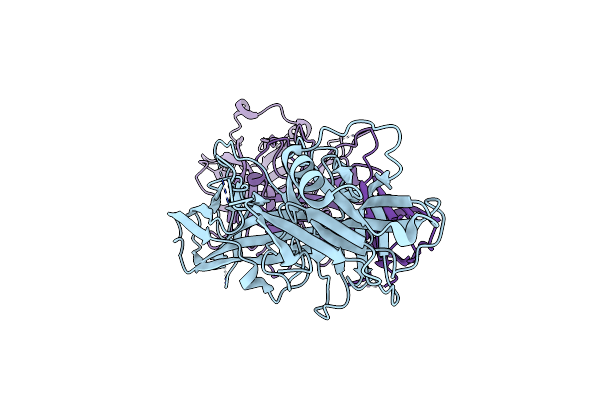 8HST image