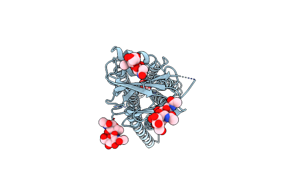 8HTT image