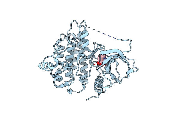 8HV2 image
