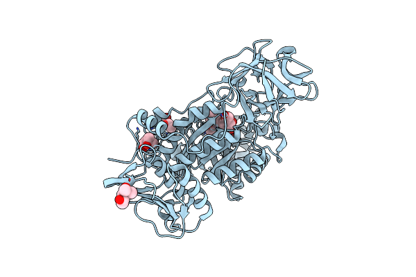 8HVC image