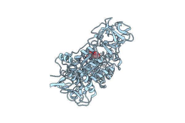 8HVD image
