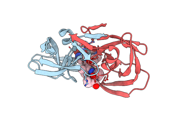 8HVP image