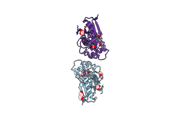 8HVQ image