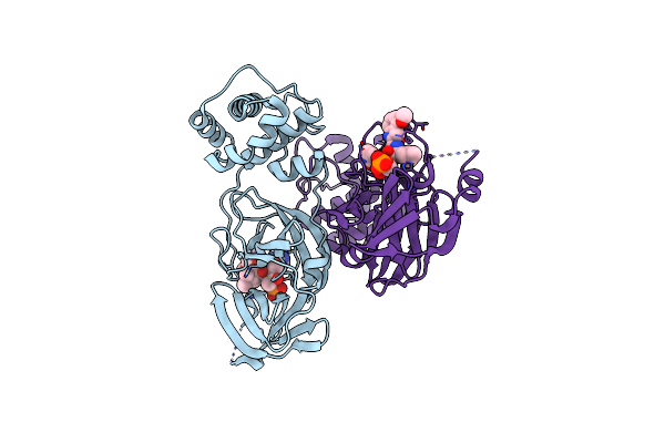 8HVX image
