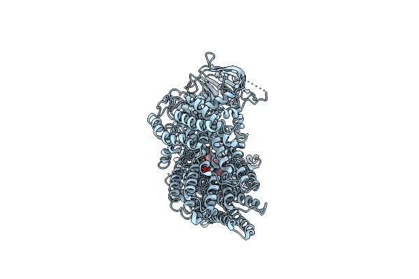 8HW2 image