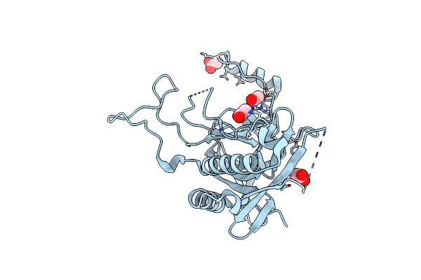 8HW5 image