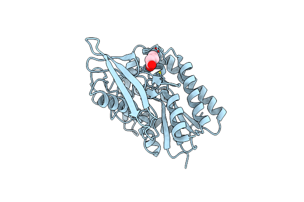 8HWP image