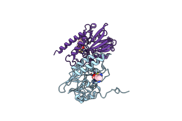8HXE image