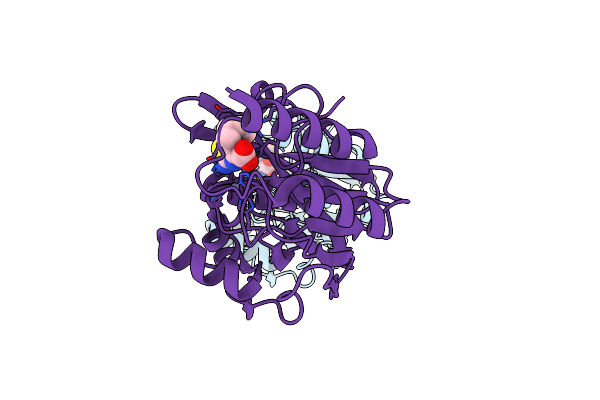 8HXP image