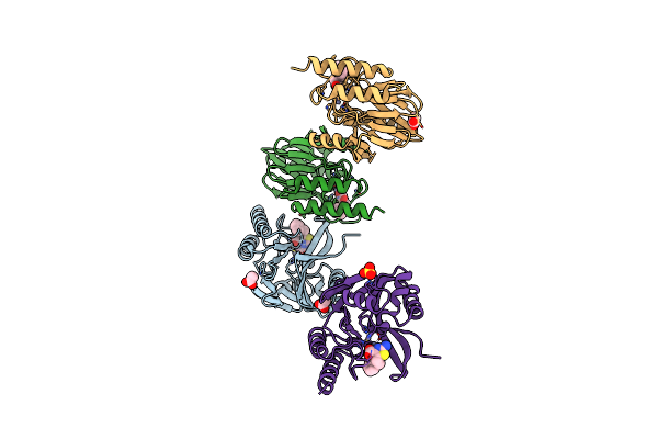 8HYB image