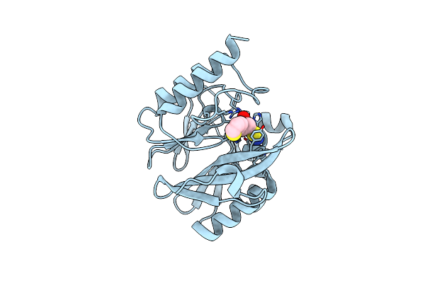 8HYD image