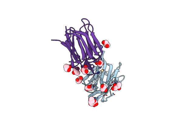 8HYF image