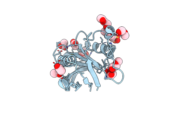 8HYG image