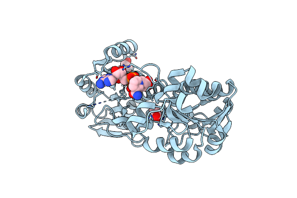 8HYH image