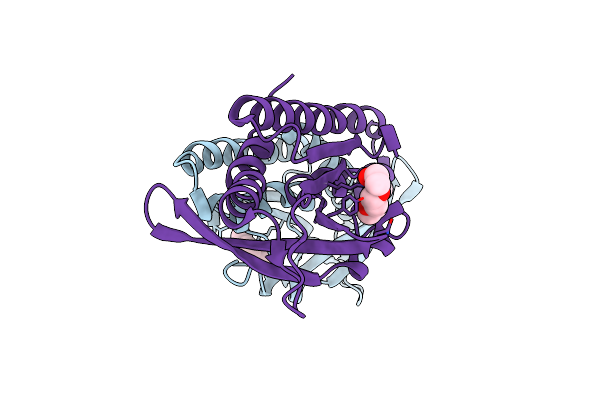 8HYN image