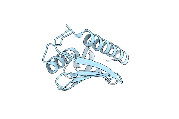 8HZ1 image