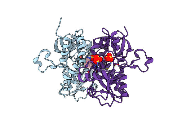 8I0B image