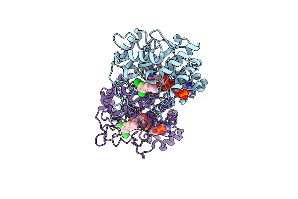 8I0C image