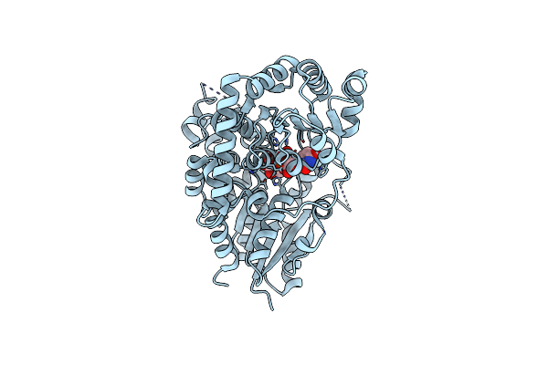 8I0D image