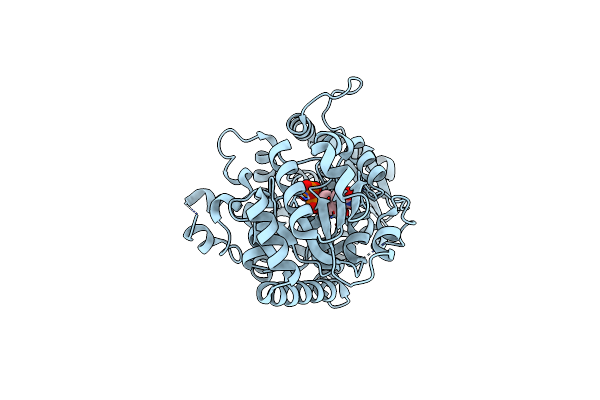 8I0E image