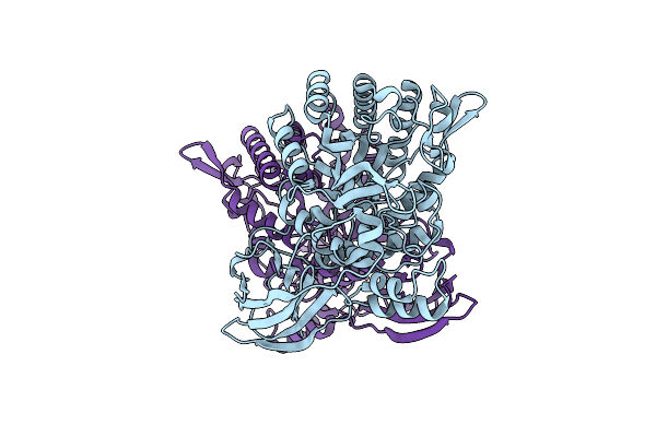 8I0J image