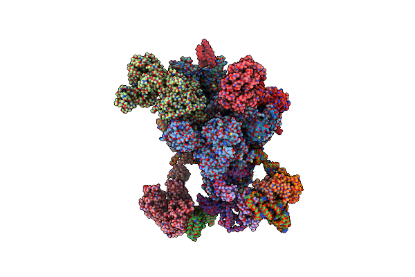 8I0R image