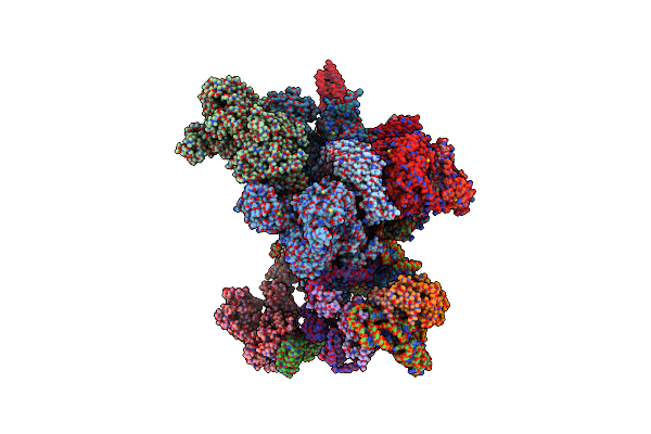 8I0S image