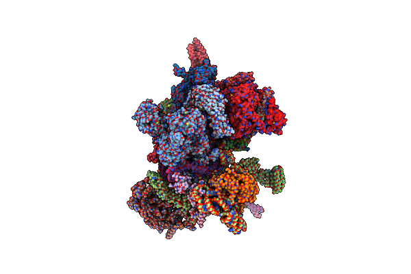 8I0U image