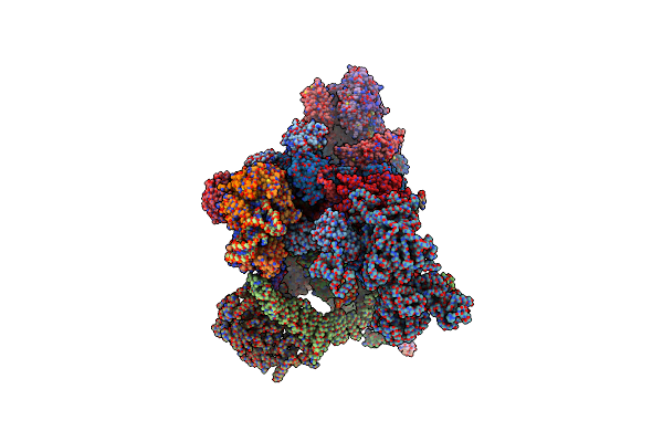 8I0W image