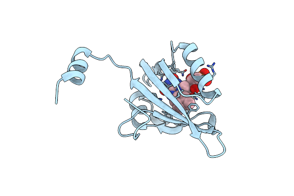 8I11 image
