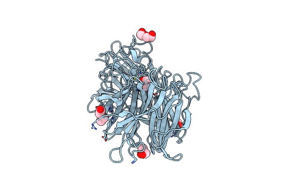 8I12 image