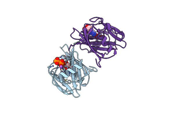 8I19 image