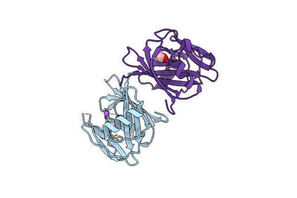 8I1C image