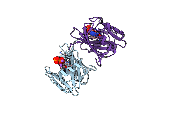8I1D image