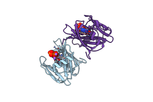 8I1E image