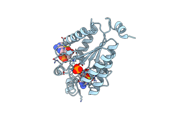 8I1M image