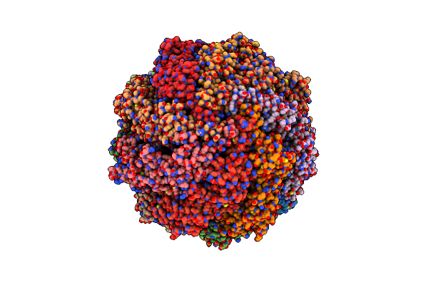8I1U image