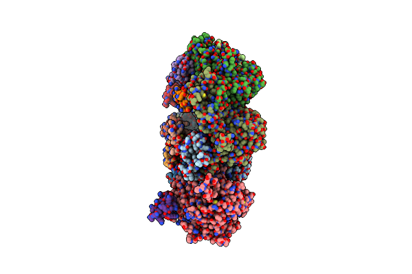 8I1V image