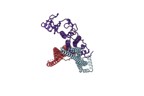 8I21 image