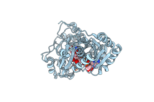 8I29 image