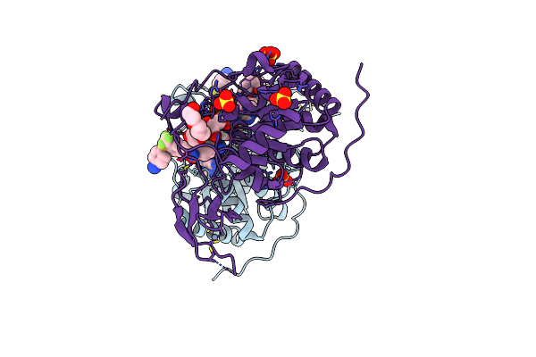 8I2B image