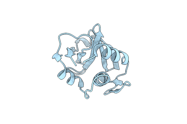 8I2D image