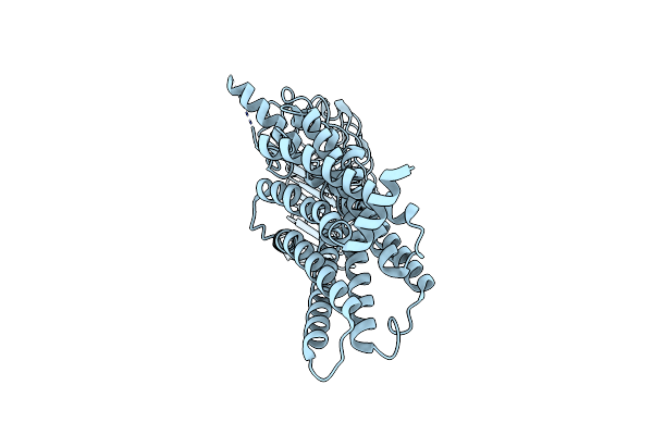 8I2H image
