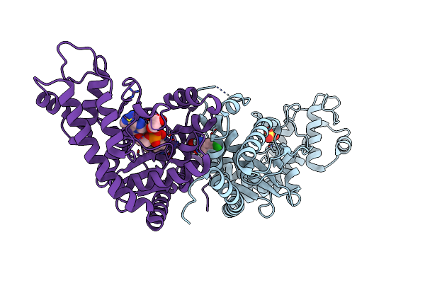 8I2L image