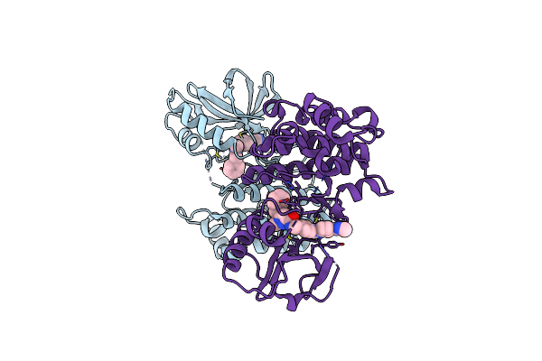 8I2N image