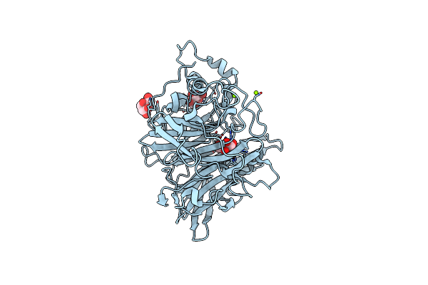 8I2R image