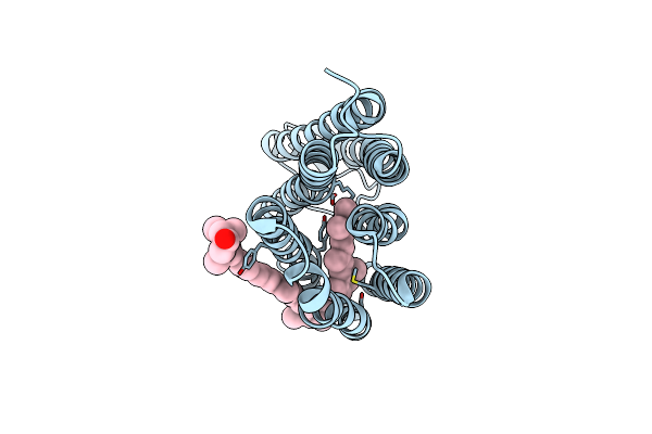 8I2Z image