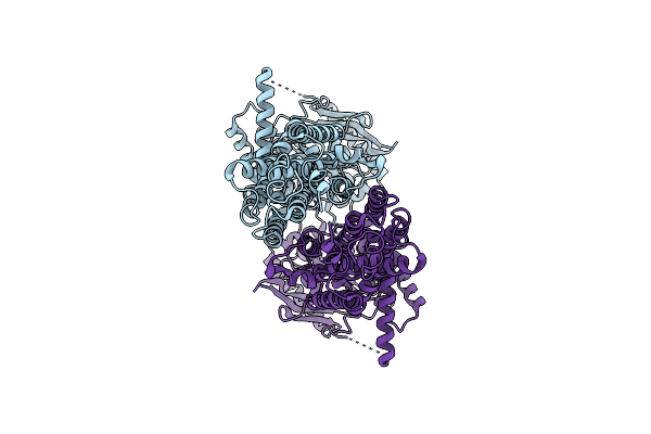 8I3D image