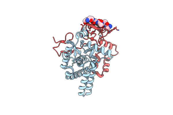 8I3F image